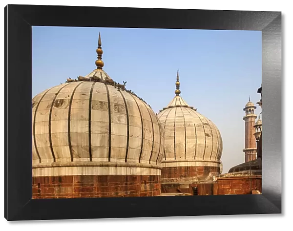 India, Delhi, Old Delhi, Jama Masjid - Jama Mosque built by Shah Jahan