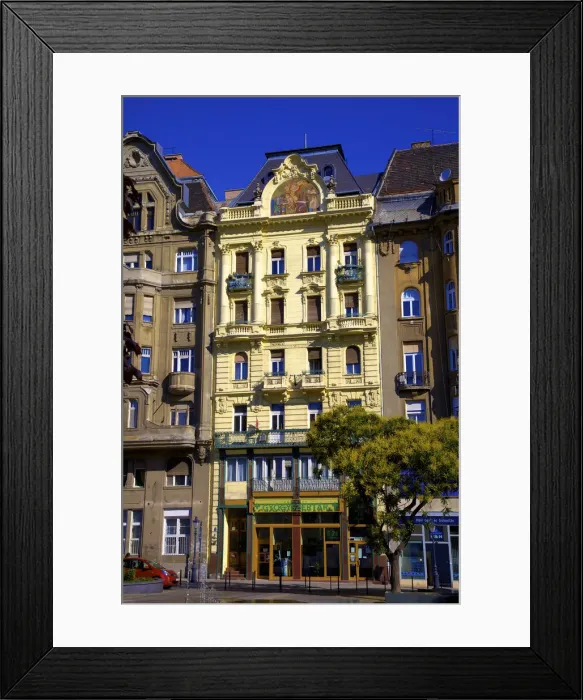 Framed Print : Historic Pharmacy Building, Budapest, Hungary Framed Print : Historic Pharmacy Building, Budapest, Hungary