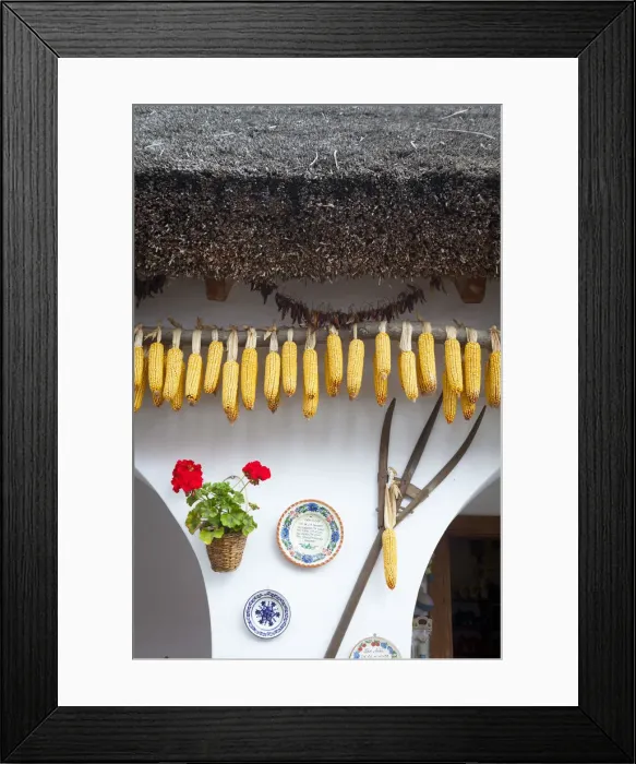 Framed Print : Exterior of traditional Thatched House, Tihany, Hungary Framed Print : Exterior of traditional Thatched House, Tihany, Hungary