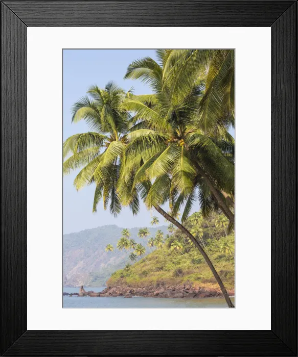 Framed Print : India, Goa, Cola beach Framed Print : India, Goa, Cola beach