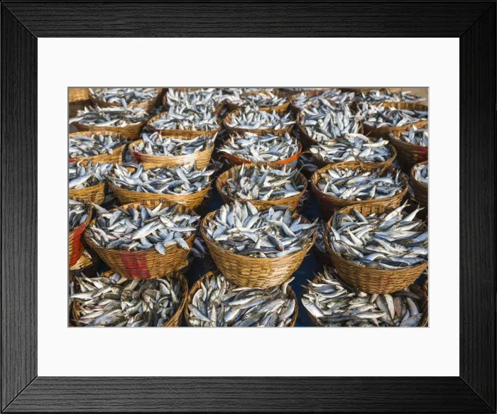 Framed Print : India, Goa, Colva beach Framed Print : India, Goa, Colva beach