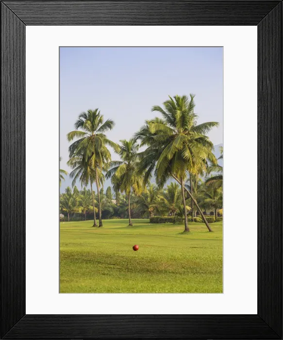 Framed Print : India, Goa, Rajbach beach, Golf course at Liat hotel Framed Print : India, Goa, Rajbach beach, Golf course at Liat hotel