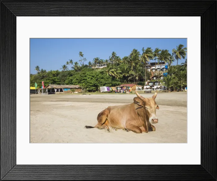 Framed Print : India, Goa, Ozran Beach known as Little Vagator Beach Framed Print : India, Goa, Ozran Beach known as Little Vagator Beach
