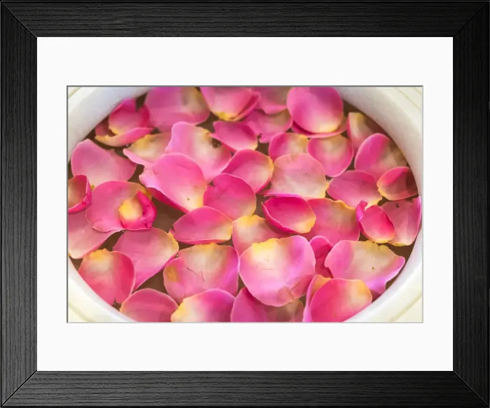 Framed Print : Bowl of rose petals, Mumbai, India Framed Print : Bowl of rose petals, Mumbai, India