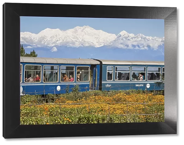 India, West Bengal, Darjeeling, Batasia Loop, Diesel train known as the Toy Train