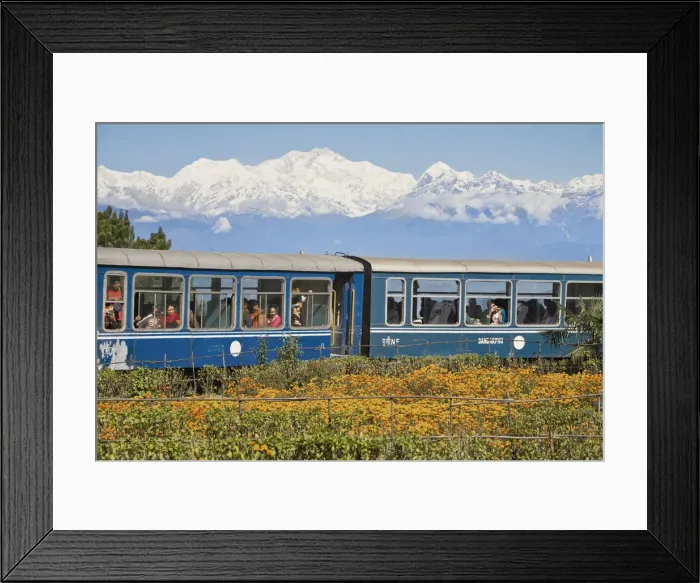 Framed Print : India, West Bengal, Darjeeling, Batasia Loop, Diesel train known as the Toy Train Framed Print : India, West Bengal, Darjeeling, Batasia Loop, Diesel train known as the Toy Train