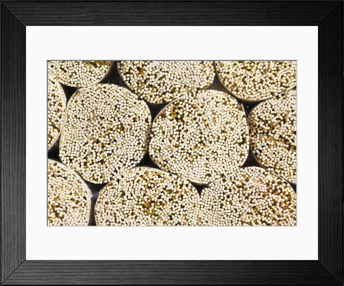 Framed Print : India, West Bengal, Kalimpong, Market, Noodles Framed Print : India, West Bengal, Kalimpong, Market, Noodles