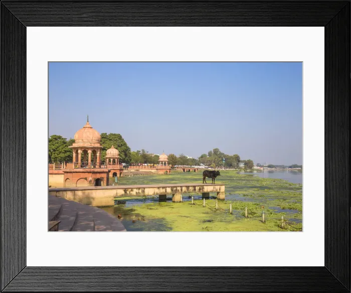 Framed Print : India, Uttar Pradesh, Lucknow, India, Uttar Pradesh, Lucknow, Kuria Ghat Framed Print : India, Uttar Pradesh, Lucknow, India, Uttar Pradesh, Lucknow, Kuria Ghat
