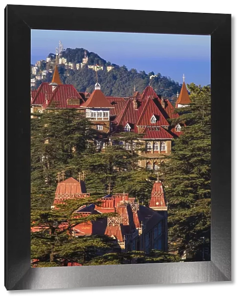 India, Himachal Pradesh, Shimla, View of Shimla