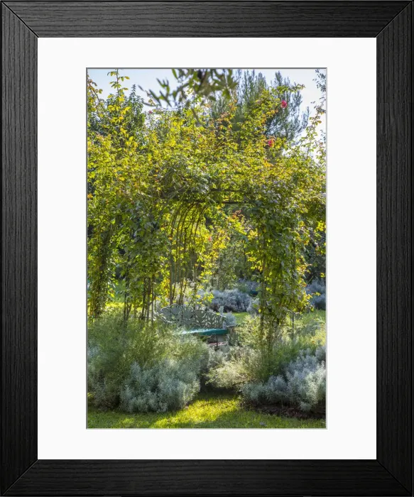 Framed Print : Gardens of the Bauer Palladio hotel, Guidecca, Venice, Itlay Framed Print : Gardens of the Bauer Palladio hotel, Guidecca, Venice, Itlay