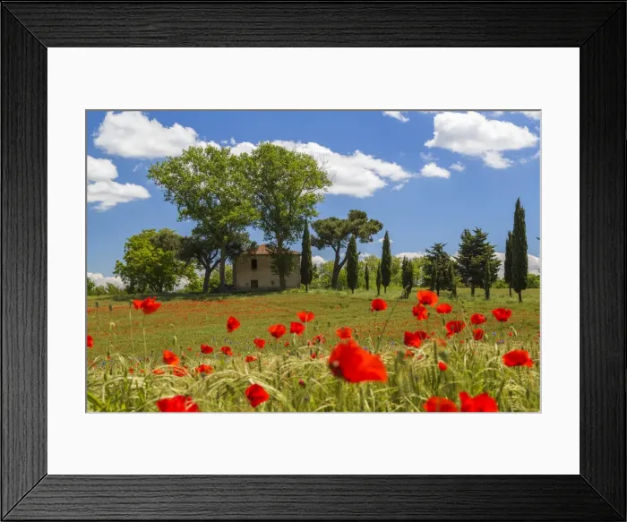 Framed Print : Farmhouse and field of poppies, Tuscany, Italy Framed Print : Farmhouse and field of poppies, Tuscany, Italy
