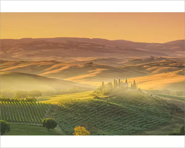 Italy, Tuscany, San Quirico D Orcia, Podere Belvedere (Typical Tuscan Farm)