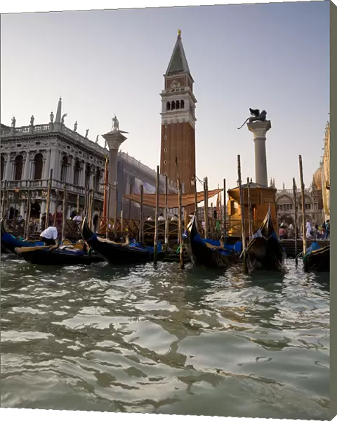 Gondolas & St. Marks Campanile, Venice, Italy