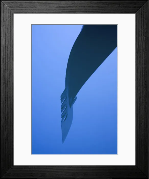 Framed Print : Gondolas, Venice, Italy