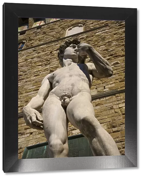 Michelangelos David, Piazza della Signoria, Palazzo Vecchio, Florence, Italy