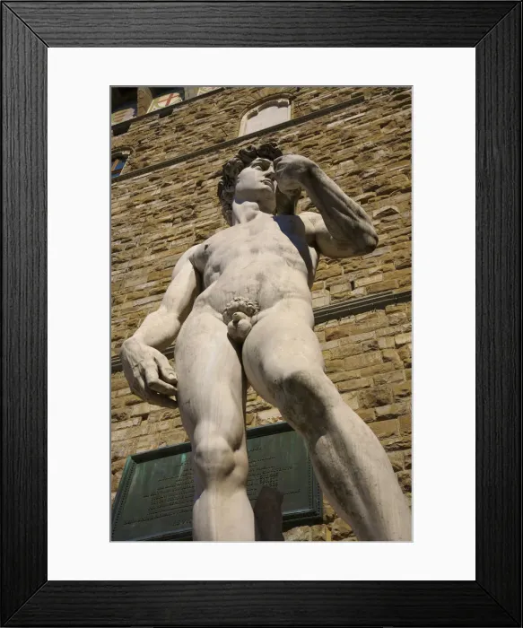 Framed Print : Michelangelos David, Piazza della Signoria, Palazzo Vecchio, Florence, Italy Framed Print : Michelangelos David, Piazza della Signoria, Palazzo Vecchio, Florence, Italy