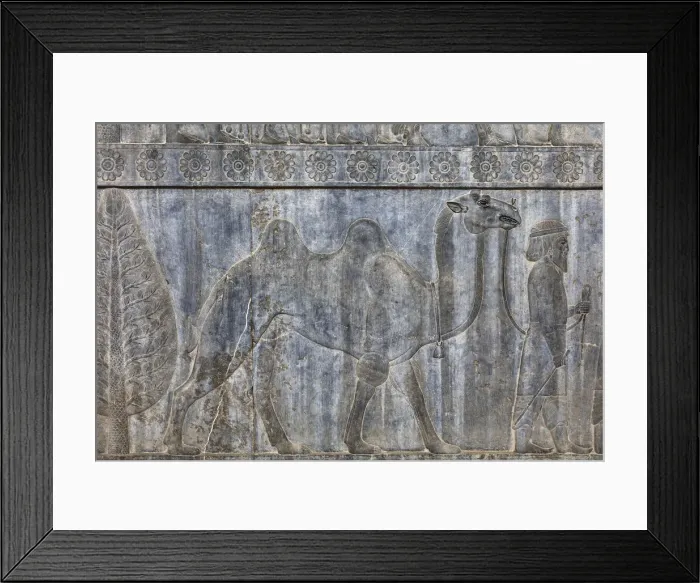 Framed Print : Relief on staircase, Apadana Palace, Persepolis, ceremonial capital of Achaemenid Empire Framed Print : Relief on staircase, Apadana Palace, Persepolis, ceremonial capital of Achaemenid Empire