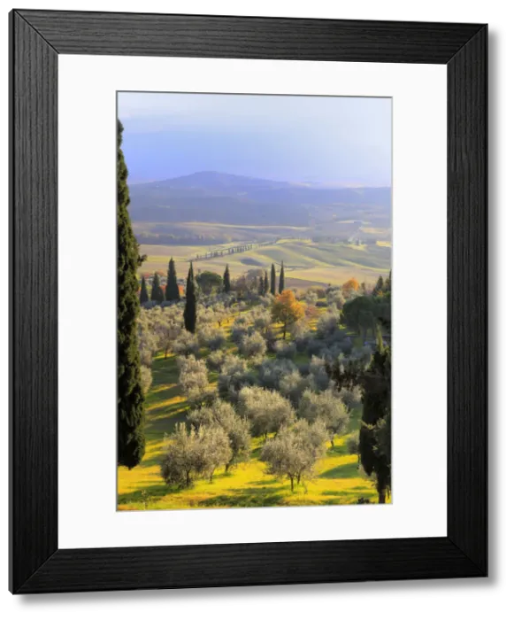 Framed Print : View of Val d Orcia (Valdorcia), Pienza, Tuscany, Italy Framed Print : View of Val d Orcia (Valdorcia), Pienza, Tuscany, Italy