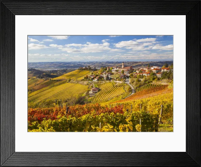Framed Print : Vineyards, Treiso, nr Alba, Langhe, Piedmont (or Piemonte or Piedmonte), Italy Framed Print : Vineyards, Treiso, nr Alba, Langhe, Piedmont (or Piemonte or Piedmonte), Italy