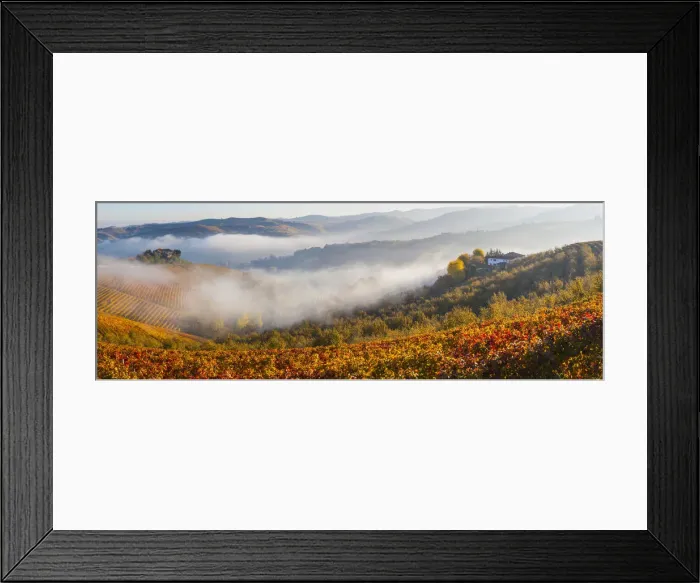 Framed Print : Vineyards, nr Alba, Langhe, Piedmont (or Piemonte or Piedmonte), Italy Framed Print : Vineyards, nr Alba, Langhe, Piedmont (or Piemonte or Piedmonte), Italy