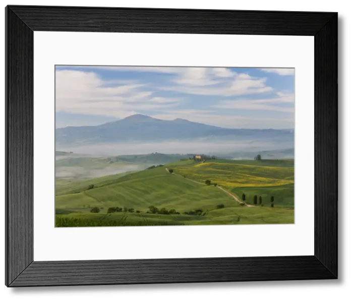 Framed Print : Track, San Quirico d orcia, Val d orcia, Tuscany, Italy Framed Print : Track, San Quirico d orcia, Val d orcia, Tuscany, Italy