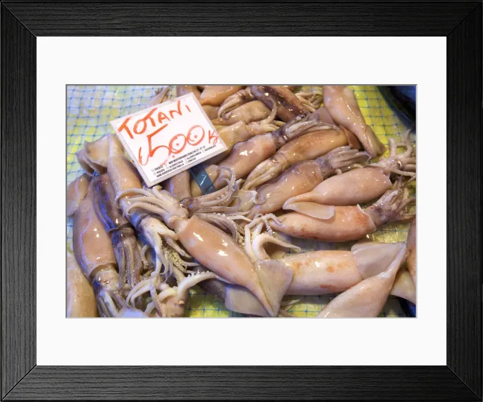 Framed Print : Squid, Fish Market, Ortygia, Syracuse, Sicily, Italy Framed Print : Squid, Fish Market, Ortygia, Syracuse, Sicily, Italy