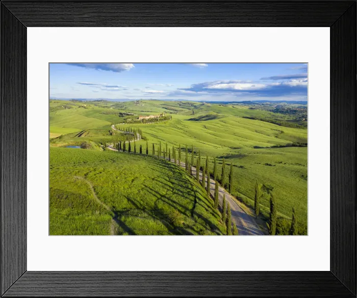 Framed Print : Italy, Tuscany, Val d Orcia, Siena Province, Cypress tree road leading to Framed Print : Italy, Tuscany, Val d Orcia, Siena Province, Cypress tree road leading to