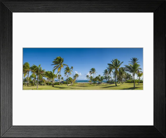 Framed Print : St. Kitts and Nevis, Nevis, Nisbet Beach, beach palm trees Framed Print : St. Kitts and Nevis, Nevis, Nisbet Beach, beach palm trees