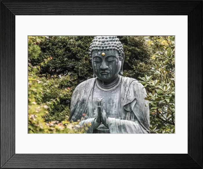 Framed Print : Buddha at Gokokusan Tenno ji Temple, Taito, Tokyo, Japan