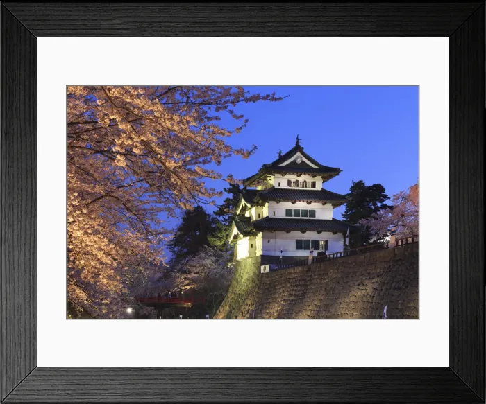 Framed Print : Japan, Aomori Prefecture, Hirosaki, Hirosaki Jo Castle and cherry trees