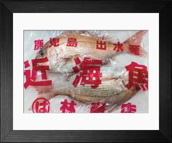 Framed Print : Fish for sale, Tsukiji Central Fish Market, Tokyo, Japan