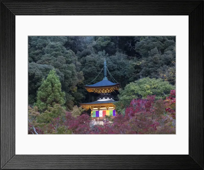 Framed Print : Japan, Kyoto, Eikando Temple Framed Print : Japan, Kyoto, Eikando Temple