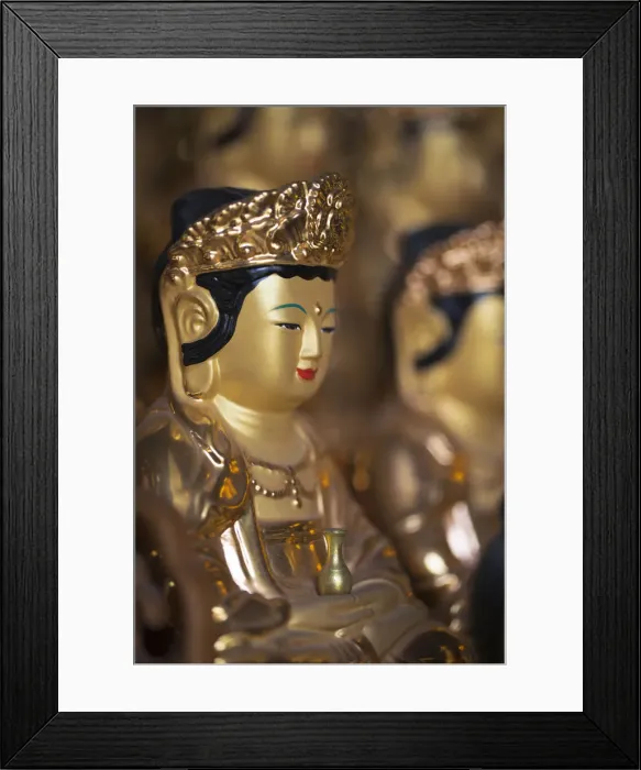 Framed Print : Korea, Seoul, Gangnam, Bongeunsa Temple, Bhuddha images Framed Print : Korea, Seoul, Gangnam, Bongeunsa Temple, Bhuddha images
