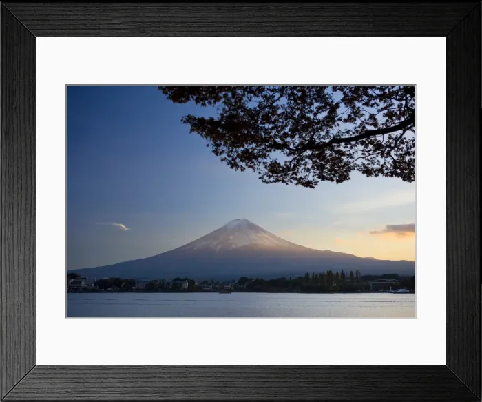 Framed Print : Japan, Honshu Island, Kawaguchi Ko Lake, Mt. Fuji and Maple Trees Framed Print : Japan, Honshu Island, Kawaguchi Ko Lake, Mt. Fuji and Maple Trees