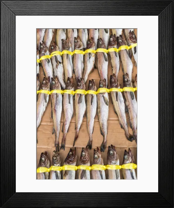 Framed Print : Fish for sale, Dongdaemun Food Market, Dongdaemun District, Seoul, South Korea Framed Print : Fish for sale, Dongdaemun Food Market, Dongdaemun District, Seoul, South Korea