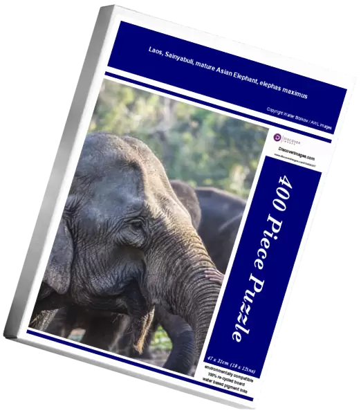 Laos, Sainyabuli, mature Asian Elephant, elephas maximus