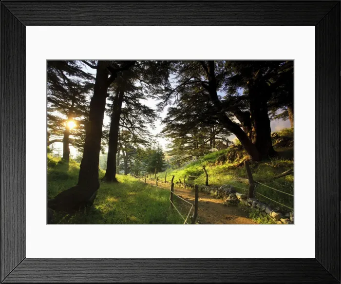 Framed Print : Lebanon, Kadisha Valley, Bcharre, Cedar Forest Framed Print : Lebanon, Kadisha Valley, Bcharre, Cedar Forest