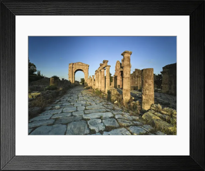 Framed Print : Lebanon, Tyre, Al Bass UNESCO site, Colonnaded Street and Roman Triumphal Arch Framed Print : Lebanon, Tyre, Al Bass UNESCO site, Colonnaded Street and Roman Triumphal Arch