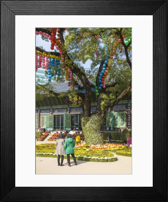 Framed Print : Jogyesa Buddhist temple, Seoul, South Korea Framed Print : Jogyesa Buddhist temple, Seoul, South Korea