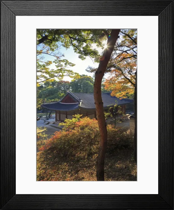 Framed Print : South Korea, Seoul, Changgyeonggung Palace Framed Print : South Korea, Seoul, Changgyeonggung Palace