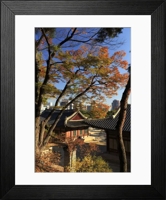 Framed Print : South Korea, Seoul, Changgyeonggung Palace Framed Print : South Korea, Seoul, Changgyeonggung Palace