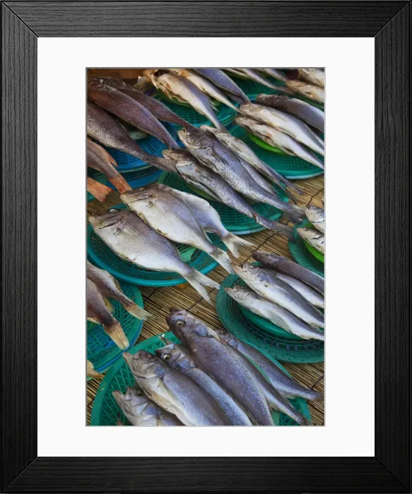 Framed Print : Korea, Gyeongsangnam-do, Busan, Jalgalchi fish market