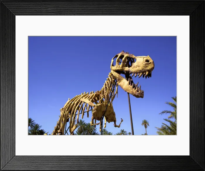 Framed Print : Full Scale Maquette Of A Dinosaur, Tahiri Museum, Rissani, Morocco, North Africa Framed Print : Full Scale Maquette Of A Dinosaur, Tahiri Museum, Rissani, Morocco, North Africa