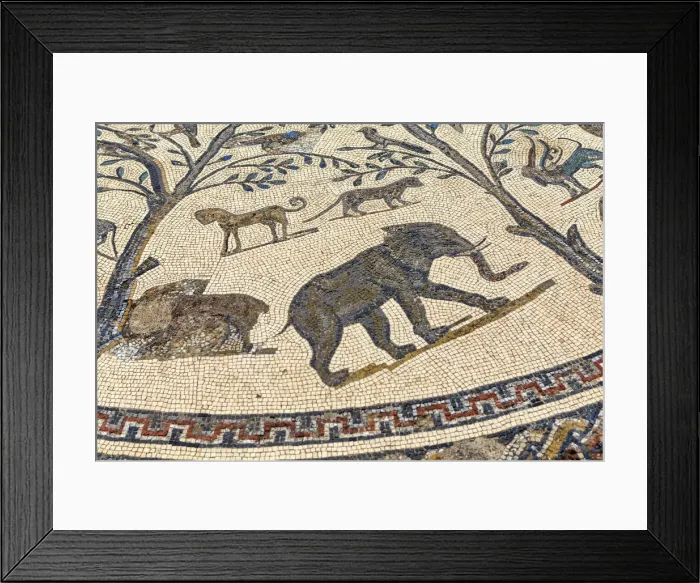 Framed Print : Floor mosaic, Roman ruins, Volubilis, Morocco Framed Print : Floor mosaic, Roman ruins, Volubilis, Morocco