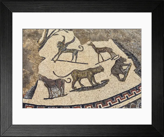 Framed Print : Floor mosaic, Roman ruins, Volubilis, Morocco Framed Print : Floor mosaic, Roman ruins, Volubilis, Morocco