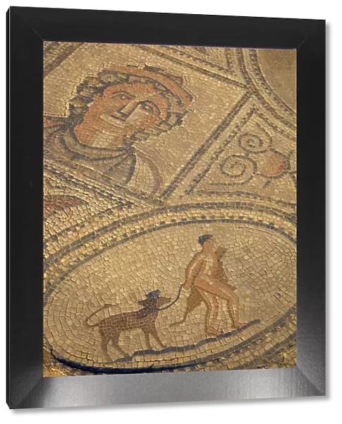 Mosaic At Excavated Roman City, Volubilis, Morocco, North Africa