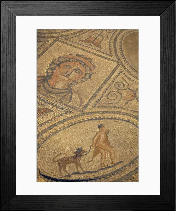 Framed Print : Mosaic At Excavated Roman City, Volubilis, Morocco, North Africa Framed Print : Mosaic At Excavated Roman City, Volubilis, Morocco, North Africa