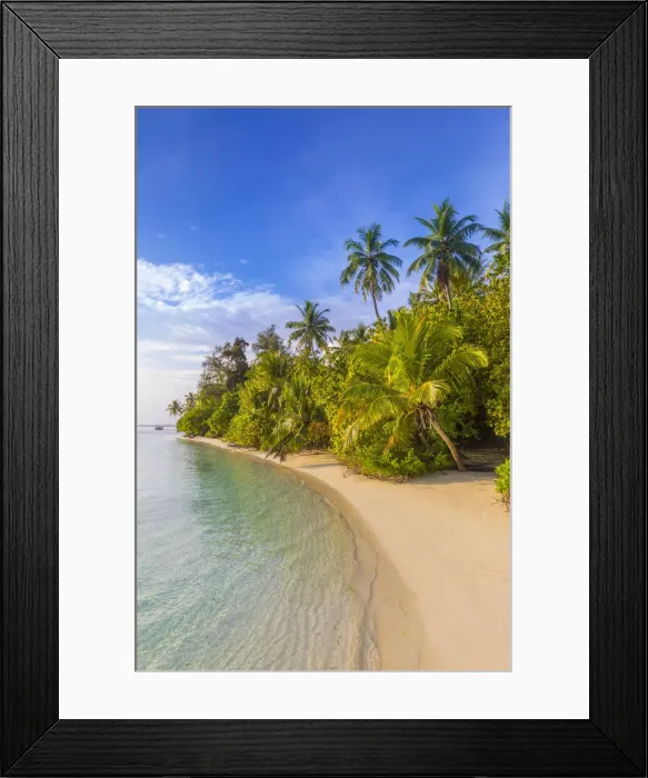 Framed Print : Beach on a tropical island in the South Male Atoll, Maldives Framed Print : Beach on a tropical island in the South Male Atoll, Maldives
