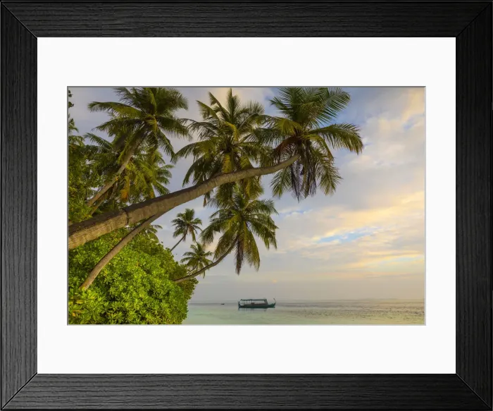 Framed Print : Beach on a tropical island in the South Male Atoll, Maldives Framed Print : Beach on a tropical island in the South Male Atoll, Maldives