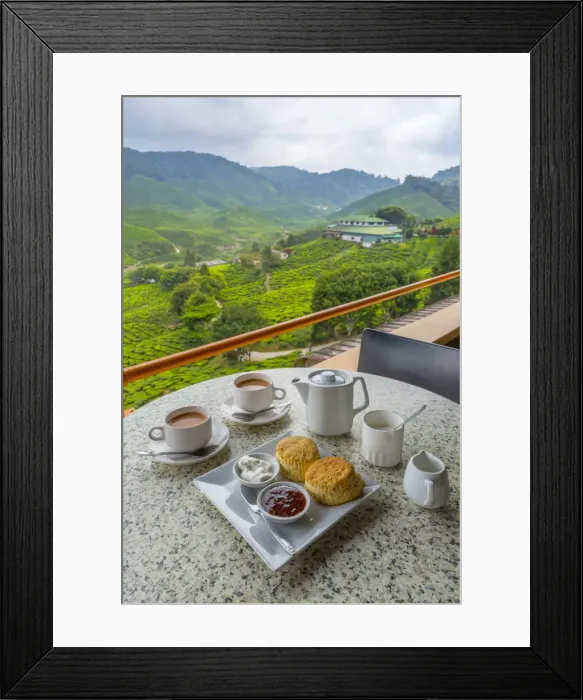 Framed Print : Malaysia, Pahang, Cameron Highlands, Tanah Rata, Cameron Valley Tea Estate, Cameron